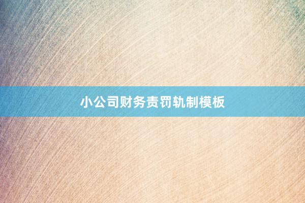 小公司财务责罚轨制模板